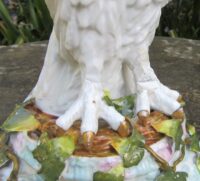IMG_4596 (2)