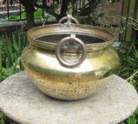IMG_4768 (2)