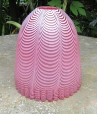 IMG_5233 (2)
