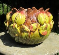 IMG_6704 (2)
