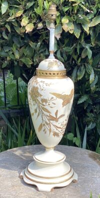 842ED0D1-8FB3-4548-A0FE-59A13981FCEF