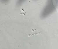 8C17196A-FE39-40F3-9F54-99ADF3C8C7C6